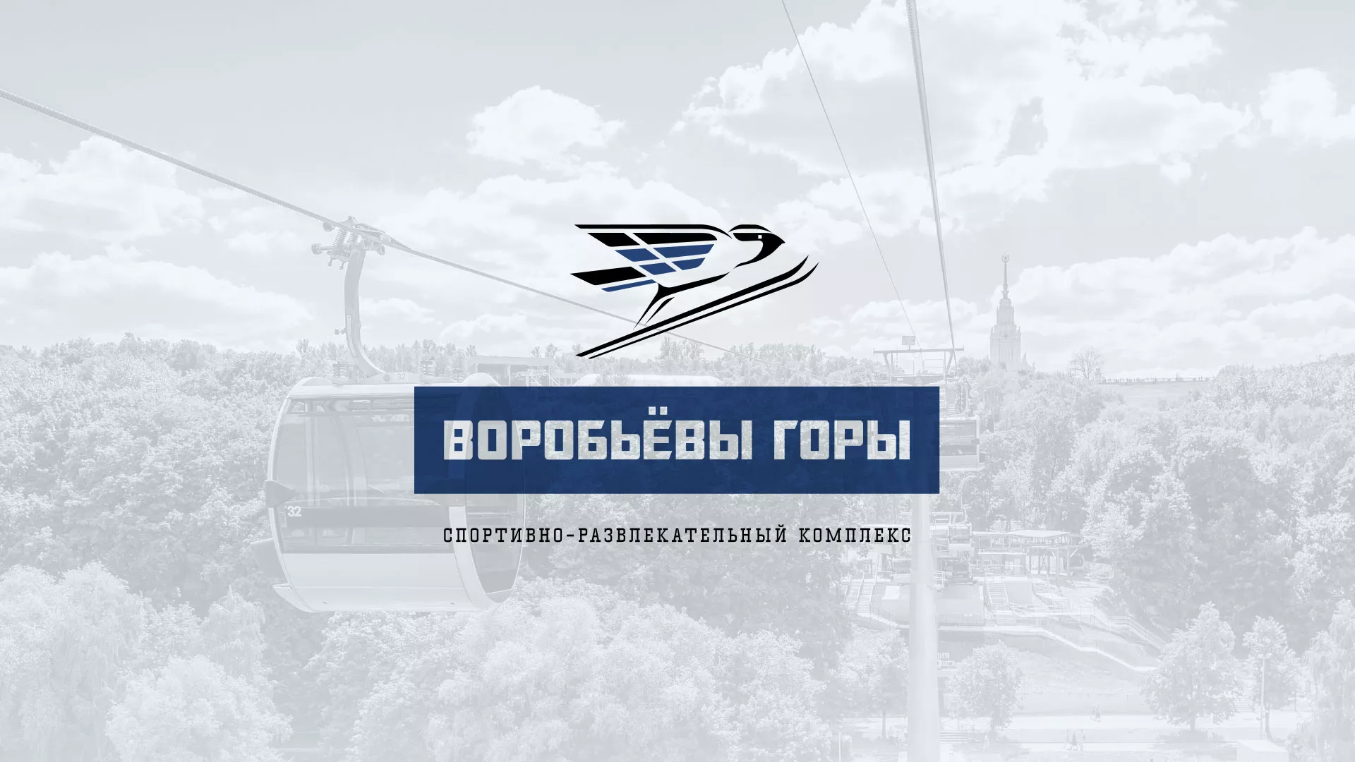 Разработка сайта в Петухово для спортивно-развлекательного комплекса «Воробьёвы горы»